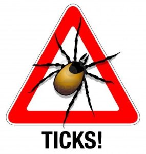 13061076-tick-warning-illustration-of-a-tick-warning-sign[1]